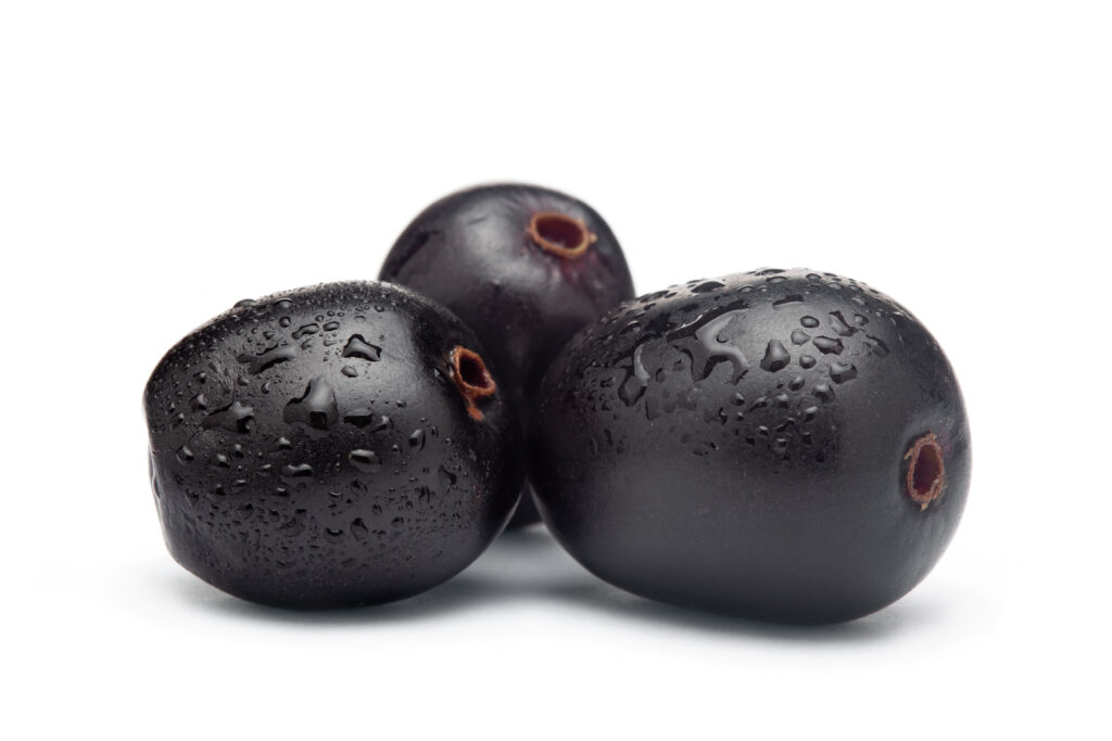 Indian Blackberry Fruit Benefits