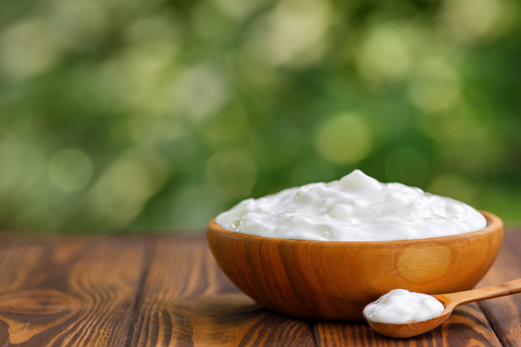 Foods That Boost the Immune System