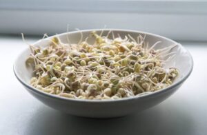 Green Moong Sprouts Benefits