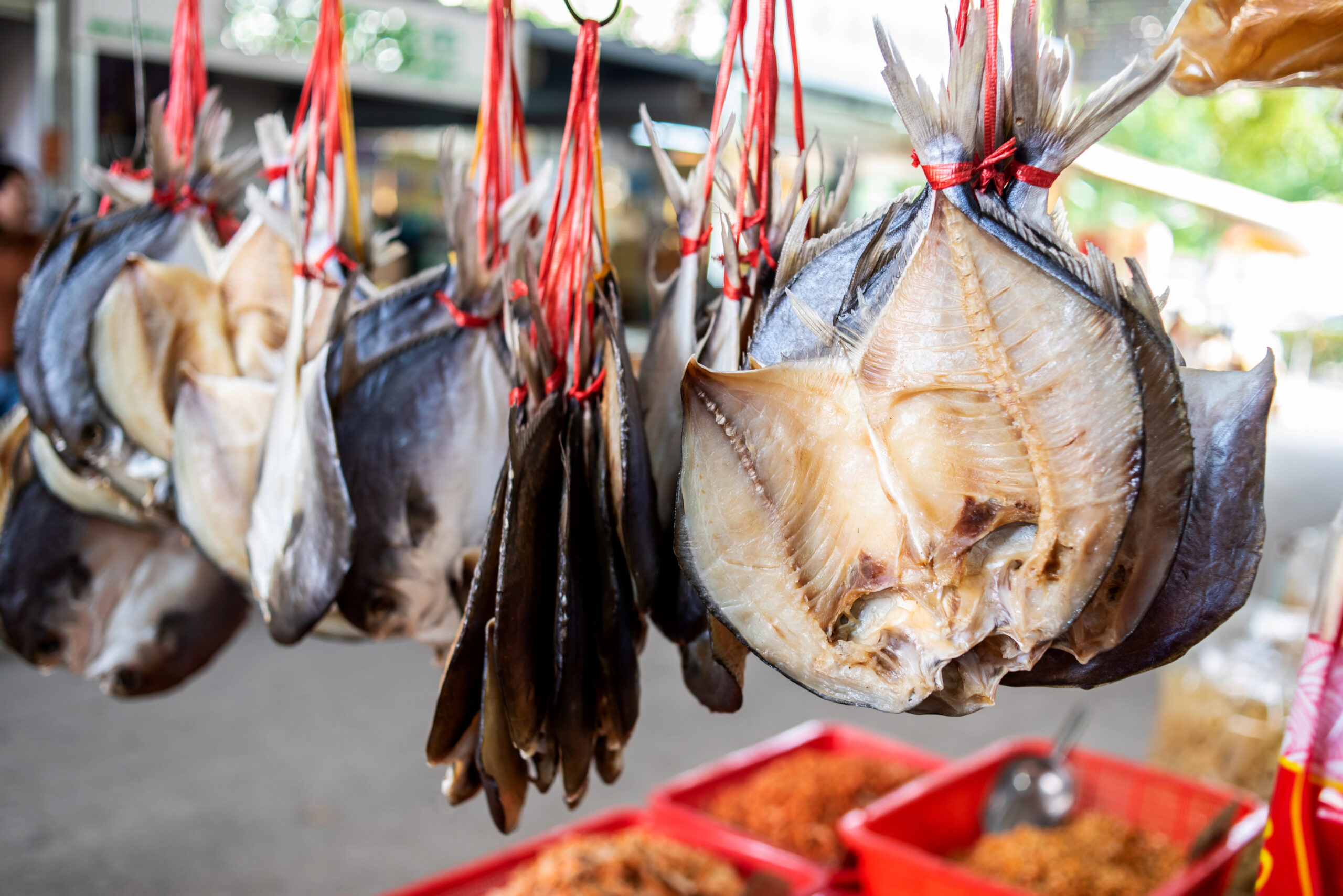 Dry Fish Benefits 