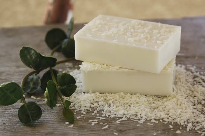 Camel Milk Soap Benefits 