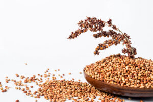 Types of Millets and Their Benefits