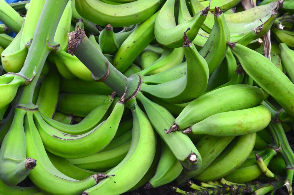 Nendran banana benefits