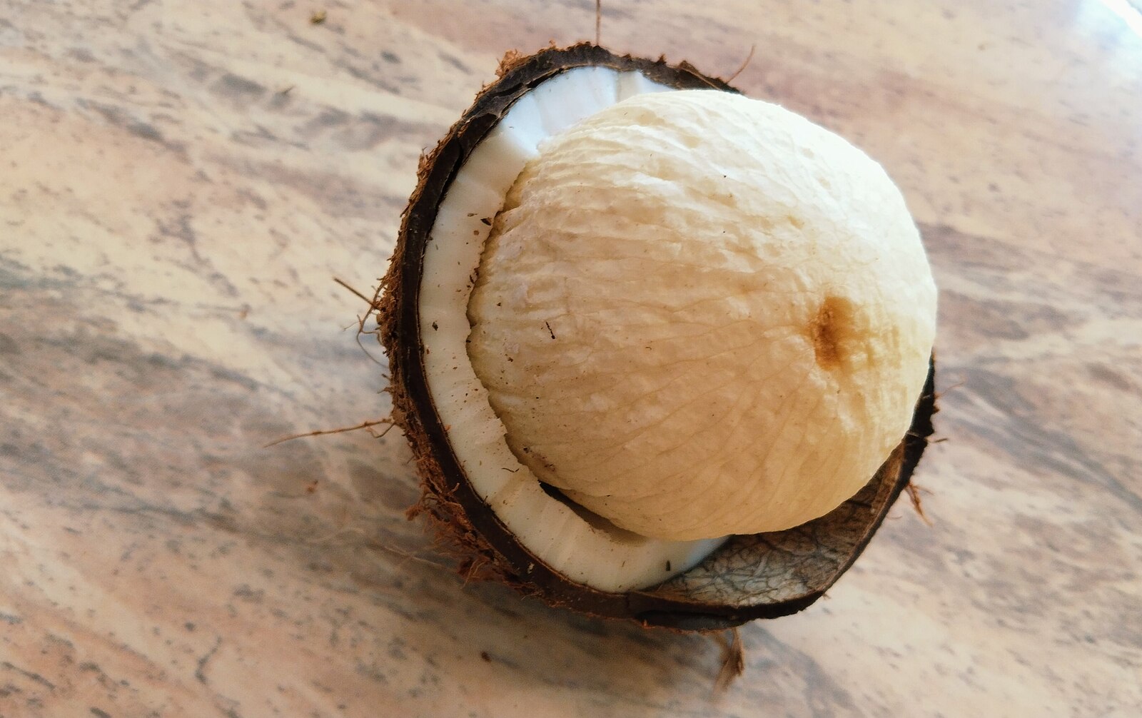 Coconut Flower Benefits 