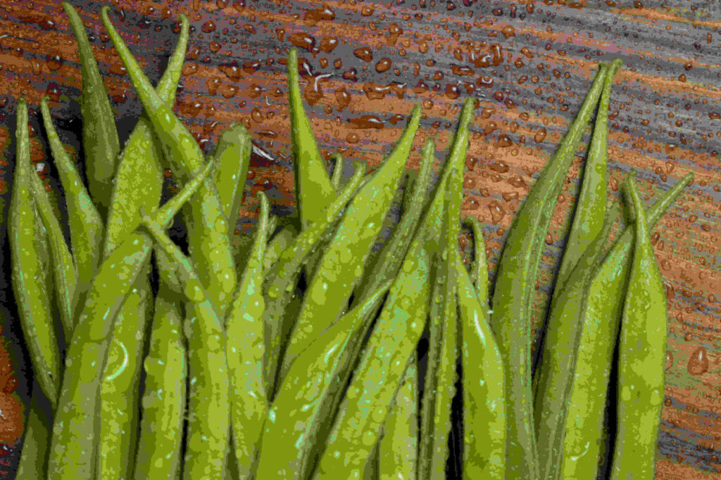 Cluster beans benefits