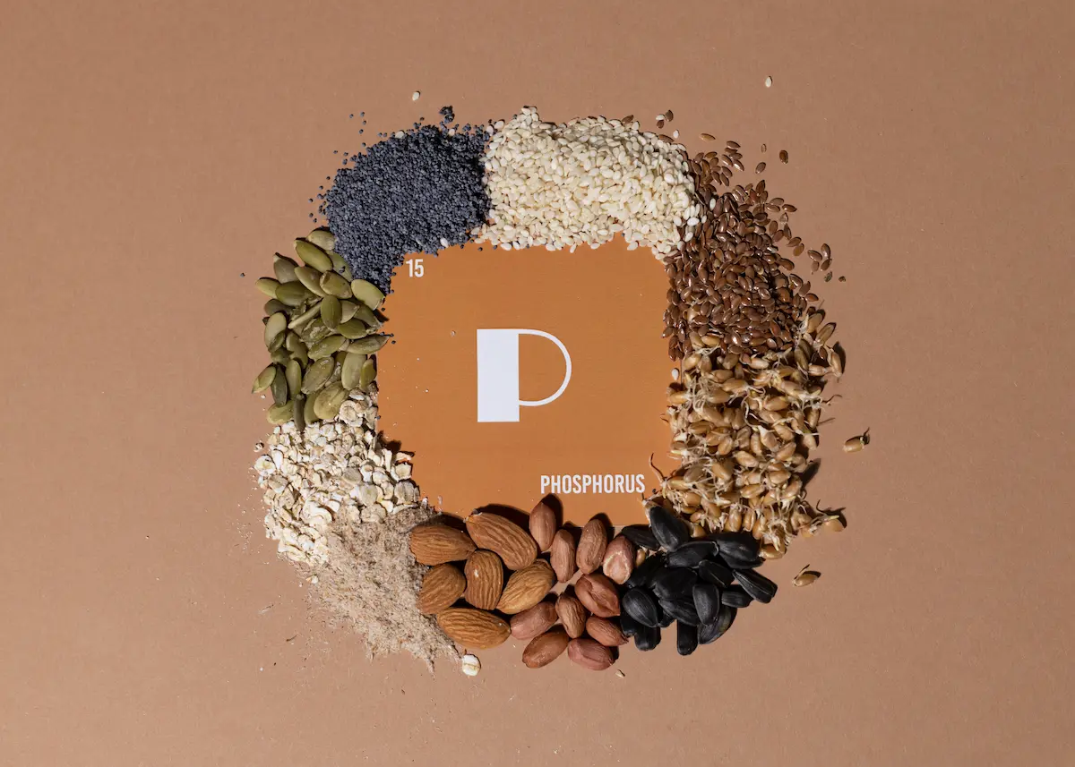 12 Foods High in Phosphorus That Deserve a Place in Your Diet
